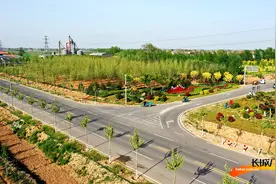 高清组图｜河北曲周：美丽乡村入画来图片