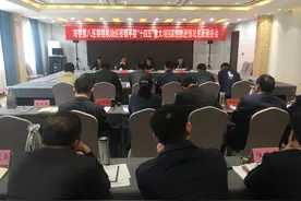 南阳市委第八巡察组机动巡察镇平县“十四五”重大项目谋划推进情况图片