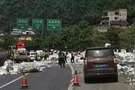 大货车变“拦路虎”！今早昭通水麻高速堵起10公里“车龙”……图片