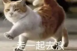 “史上最火五一”来袭，镍都金昌这样玩！（线路篇）图片