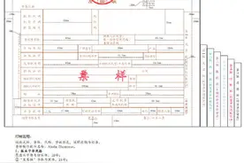 机动车发票使用新规5月1日起试行，详解来了图片