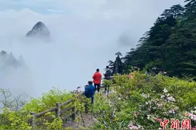 海外华文媒体点赞黄山生态保护图片