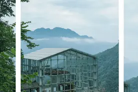 “五一”出游，武汉周边400公里这些景点好玩不贵图片