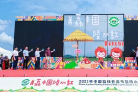 2021年中国荔枝开采节暨陵水荔枝文化节开幕图片