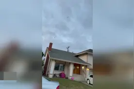 鸟儿成群结队从烟囱飞进加州一户民宅 场景犹如恐怖电影图片