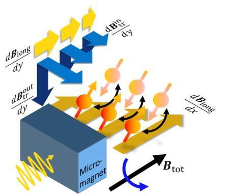 自旋优化（中国科大发现硅基自旋量子比特操控优化的新方法）