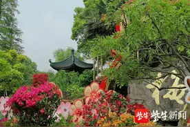 “五一”怎么逛无锡，这里有份给你的专属“指南”图片