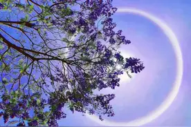 四川凉山多地出现日晕 忙坏P图大神：奥特曼光环中出现、日晕成赛亚人能量球图片