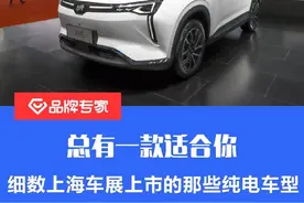 总有一款适合你 细数上海车展上市的那些纯电车型图片