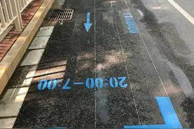 骑电动车未戴头盔将罚款，出门遛狗要拴绳……今起，这些新规将影响你我生活图片