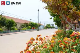 即墨段泊岚镇朱光荣：产业富民 描绘美丽乡村画卷图片
