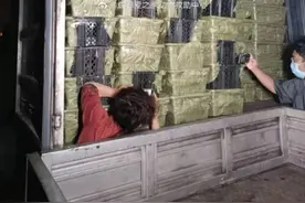 3天狗狗仅有1个馊馒头为食！“宠物盲盒”竟是这样图片