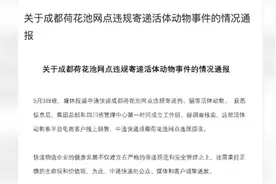 中通快递通报“宠物盲盒”：涉事网点暂停业务，负责人停职