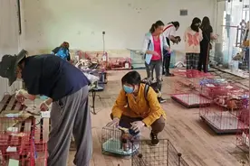 成都“宠物盲盒”涉事中通快递网点仍在派件，被指长期运送活体猫狗图片