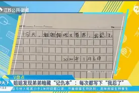 姐姐发现弟弟暗藏“记仇本”：每次都写下“我忍了”视频封面