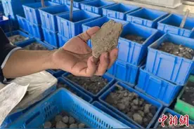 贝壳、鱼骨、木器……这里埋藏着8000年前的历史图片