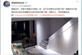 将中国留学生比作狗 美驻华使馆发言人道歉图片