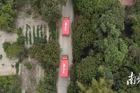 沿着高速看中国，央视“五一”接连关注茂名乡村游图片