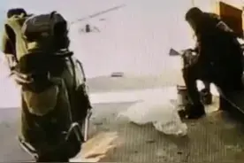 哭笑不得！狗狗失踪半月后自己跑回家，结果下了一窝崽图片