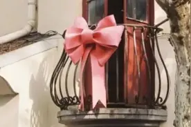 武康路“网红”阳台蝴蝶结被取走、阳台大门紧闭……可以散了吗？图片