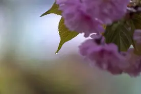 细雨绵绵 滋润万物图片