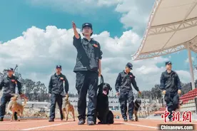 云南边检总站里的好搭档：警花罗珮雯和警犬“砂糖”图片