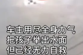 这就是母爱！车辆坠河母亲托举救子图片