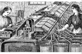 棉花的全球传播图片