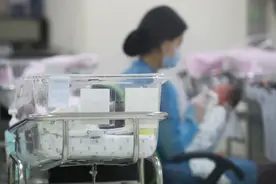 澎湃思想周报｜生育率与生育资源；获庇护后仍被驱逐的难民们图片