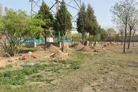 高压线下插空修坟，好好的房子成了“坟景房”图片