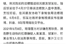 美食博主食用二级保护动物法螺被刑拘！注意，还有这些海鲜不能吃图片
