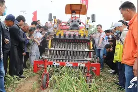 国内11家大蒜机械生产企业齐聚济宁金乡 吸引全国农机专家围观图片