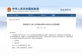 财政部成立乡村振兴领导小组图片
