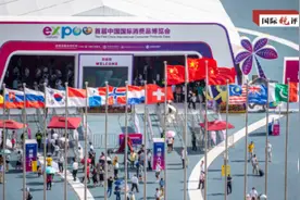 国际锐评丨这个超大规模消费市场是全世界共享的机遇图片