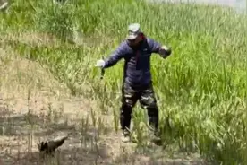 危险！海淀南沙河有人用射鱼枪捕鱼，网友称买后被反射缝针图片