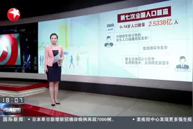第七次全国人口普查