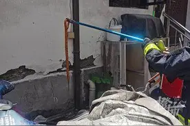 杭州十五奎巷一条赤红色的蛇在居民楼下乱窜！风油精、大蒜末、驱蛇粉、雄黄、超声波驱蛇器，这些能驱蛇吗？图片