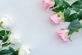 女孩，如何守卫自己的贞操权？图片