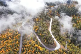 西藏林芝派镇至墨脱公路全线贯通图片
