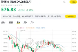 4个月跌掉2万亿市值，《大空头》原型也来做空特斯拉！高瓴最新持仓也公布：仍重仓中国企业图片
