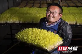 “一米先生”想赚钱 长沙县“励志哥”创业成功带动乡亲增收图片