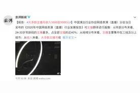 报告：大多数主播月收入3000至5000元图片