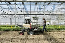 将幼苗精准送到“家”新型移栽机助力蔬菜培育自动化图片