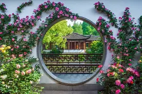 你正好盛开，我恰好路过图片