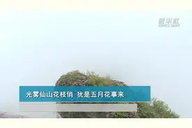 光雾仙山花枝俏 犹是五月花事来图片