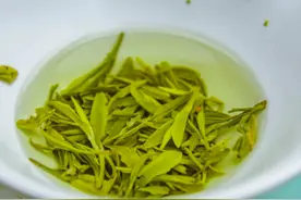 茶叶过了保质期还能喝吗？各类茶叶的保质期是多久？图片