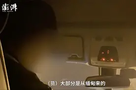 多个中药材集散地存罂粟壳地下交易，多流向小吃市场图片