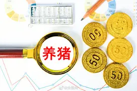 央视网评大学生养猪 改变思路或可走出就业内卷图片