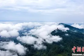 通讯：重庆主城“绿肺”缙云山的“蝶变重生”图片