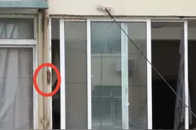 上海老人囤垃圾引鼠群在晾衣架上“开会”，居委会：将再消杀图片